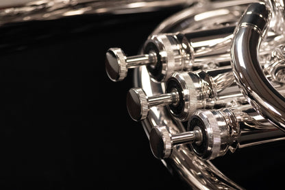 Sterling Royale Baritone Horn